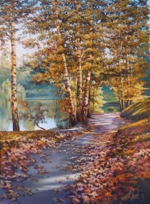 291 � �����