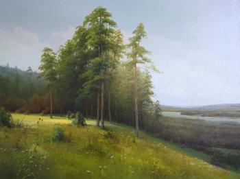 ������ ��������. ������ ���������