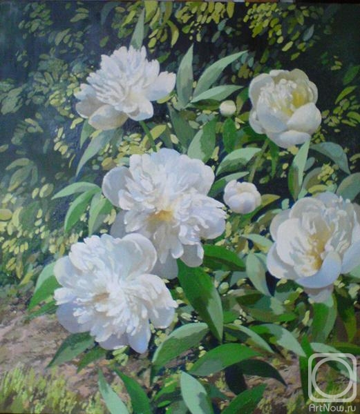 ������� ������ �� ������. ������� ����. �����