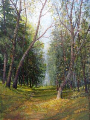 Maples (West Siberia). Korytov Sergey