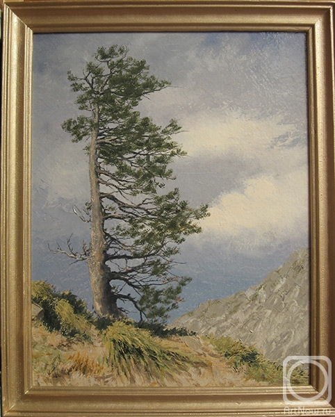 �������. ������� �������. ������