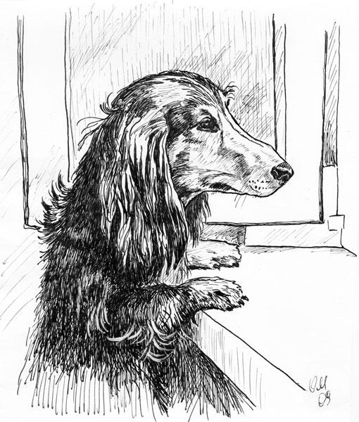 Malancheva Olga. The Smell of Freedom