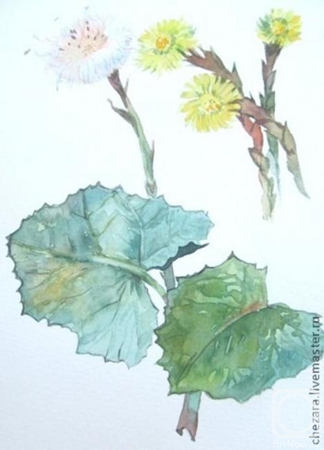 �������. �������� �����. ������� ��� ��������