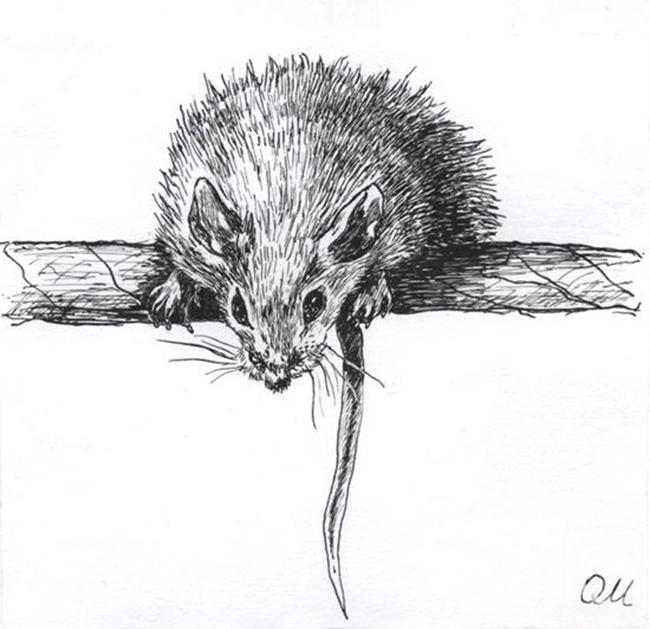 Malancheva Olga. Mouse 2