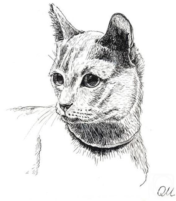 Malancheva Olga. Cat of noble blood