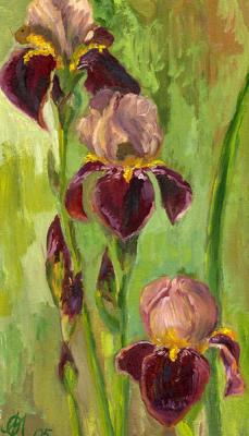 Irises. Malancheva Olga