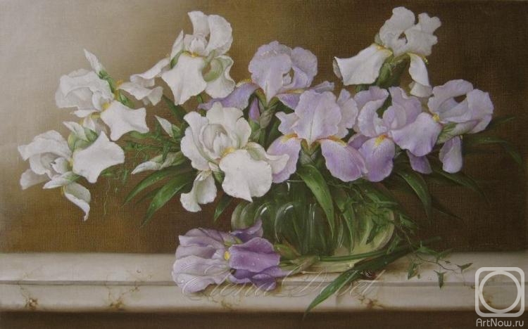 ������� ������ �� ������. ������ �����. �����