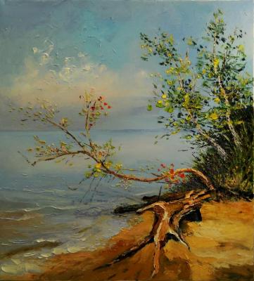 ������� ������ - �������