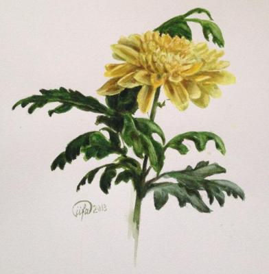 ������� �����������