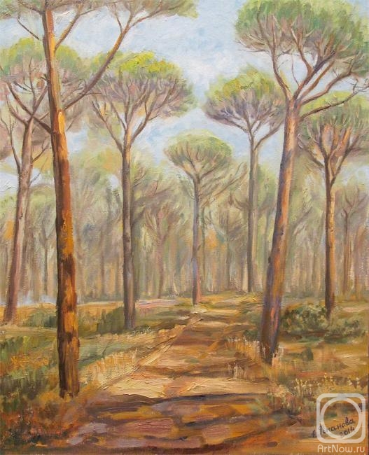 Romanova Elena. Sardinia. Pine Alley