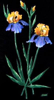 Irises 1. Sotnikova Diana