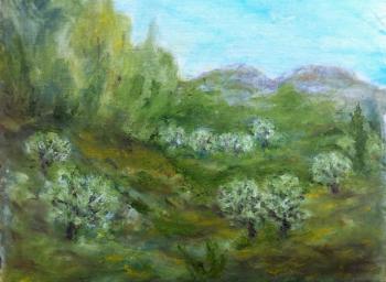 ������� ���������� ���� ����� ����������� ���