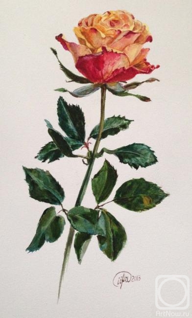 �������. ������� �����. ����