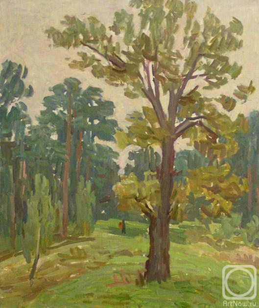 ������� ������ �� ������. �������� �������. � ���� (����)