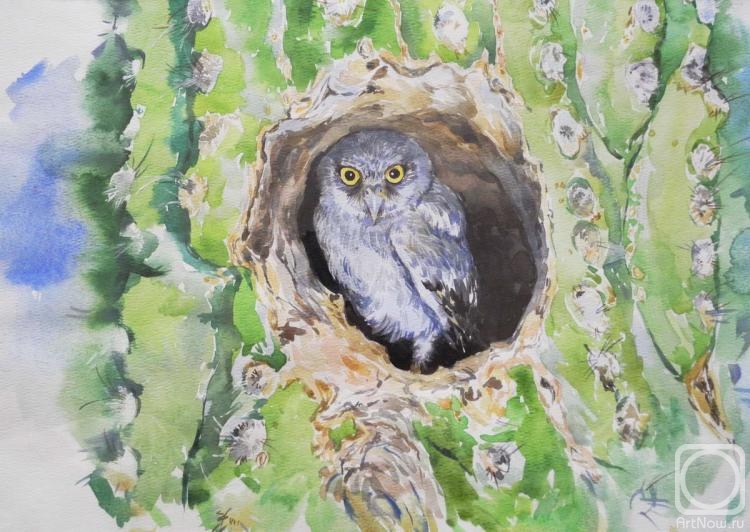 Simonova Olga. Sandy owl in a cactus