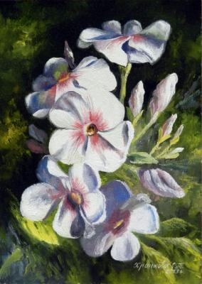 ������� ��������