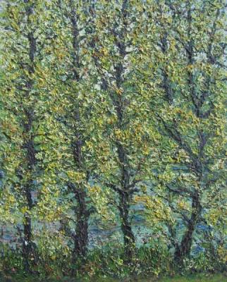 ������� �������� ����