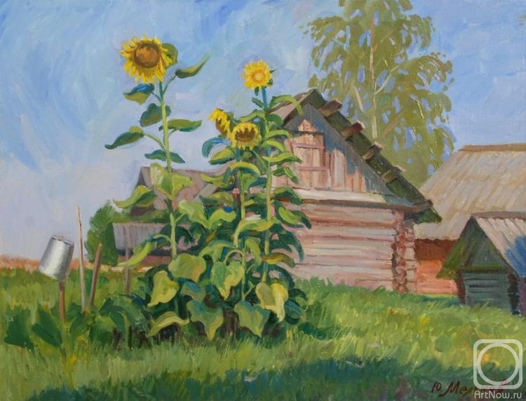 Melikov Yury. Study with sunflowers