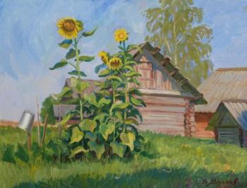Melikov Yury Gennadievich. Study with sunflowers