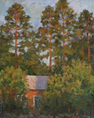 Pine-trees. Melikov Yury