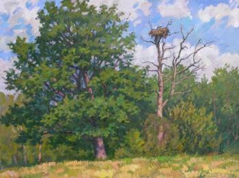 Two oaks. Melikov Yury