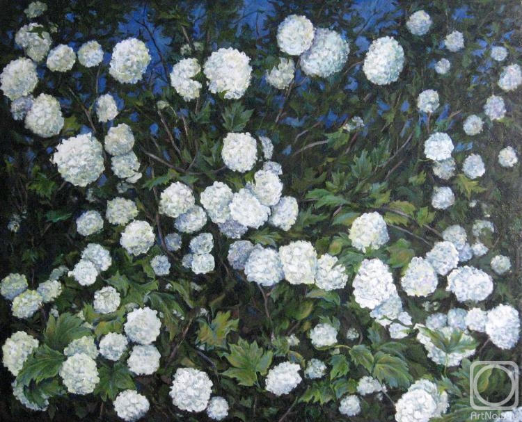 ������� ������ �� ������. ��������� �����. ������ ���������