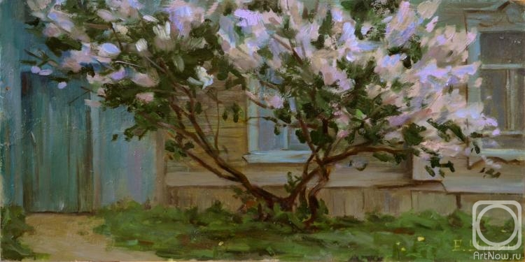 �������. ����� �������. ���� � ���