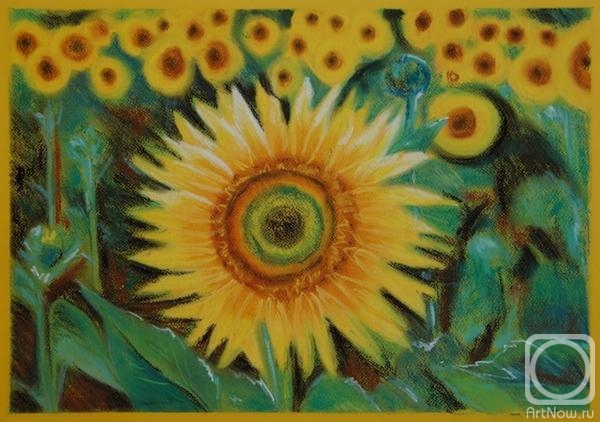 Lukaneva Larissa. 625 Sunflower field