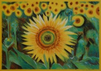 625 Sunflower field. Lukaneva Larissa