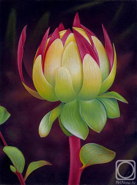 �������. ���������� ��������. ������� ��� ��������