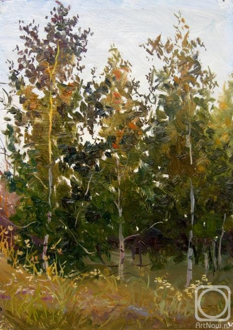 �������. ������� ��������. "��� �������" ����