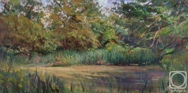 �������. ���������� �������. � �������� ����������