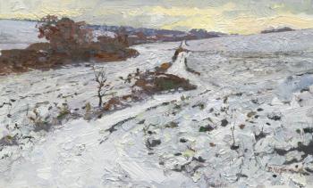 Snow in December ( ). Chernov Denis