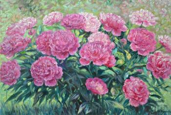 ���� ������. ������� ����