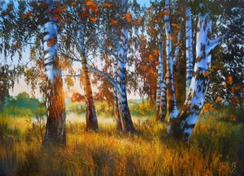 292 ����� ���������� �������