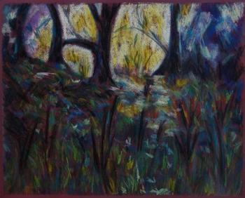 629 Forest landscape