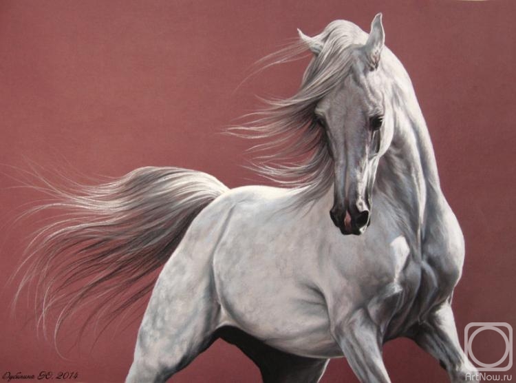 �������. �������� ����. ������� �����