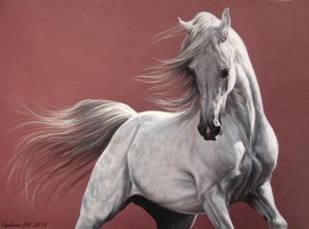 ������� �������� �����