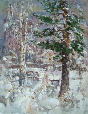 Winter in the village. Mishagin Andrey