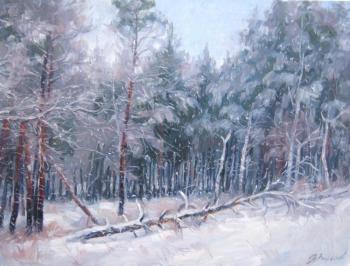 Winter Forest. Voronov Vladimir