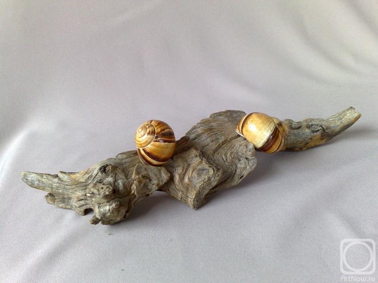 Fevral Boris. Snails