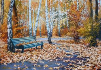 295 ����� �����