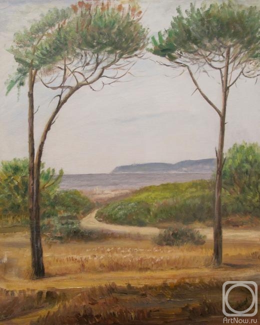 ������� ������ �� ������. �������� �����. ��������. ���������� �����