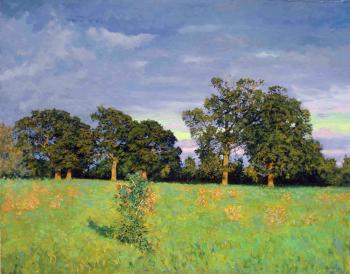 Oaks-Trees in Haddenham. Kozhin Simon