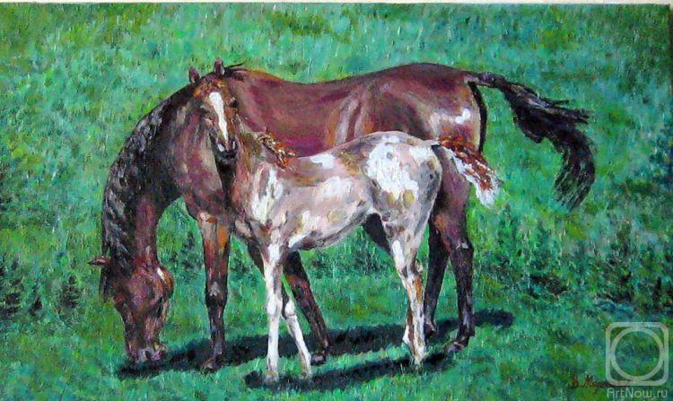 ������� ������ �� ������. ��������� �������. ������