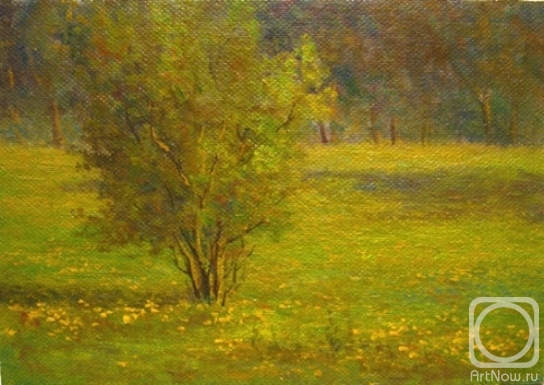 Bravkov Vladimir. Untitled