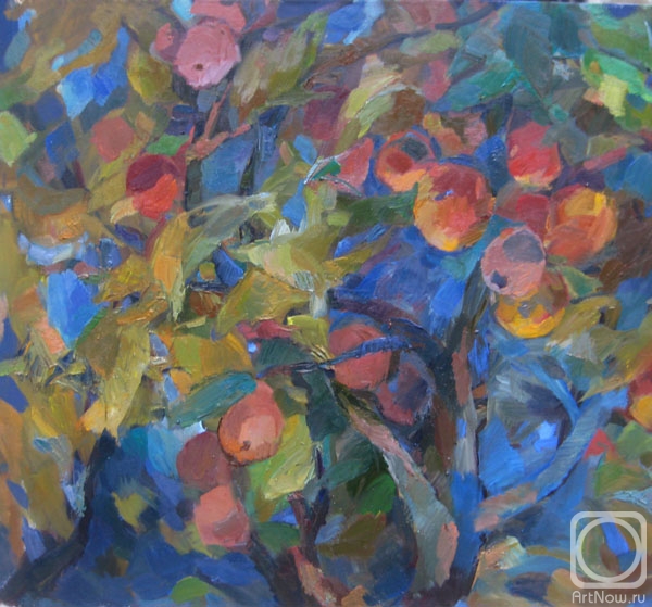 ������� ������ �� ������. �������� ����. ������� ������