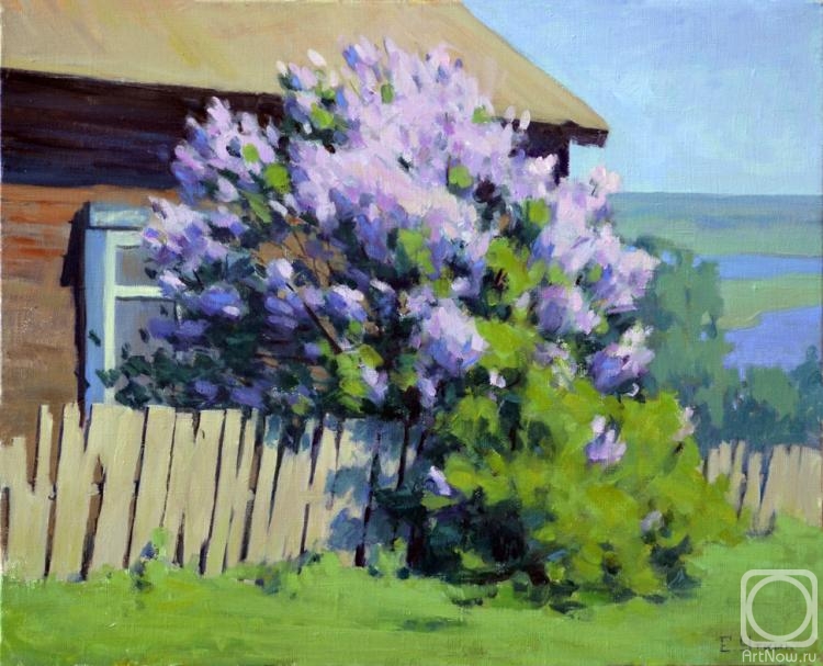 Utkin Eugeny. When the lilacs bloom