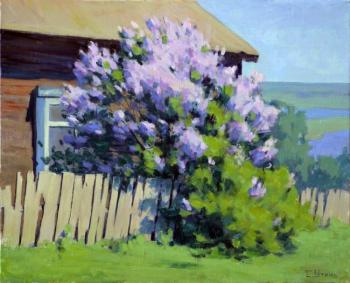 When the lilacs bloom. Utkin Eugeny