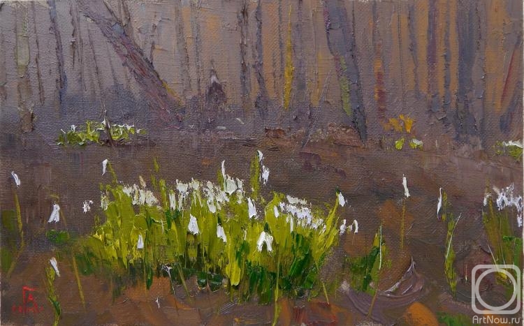 ������� ������ �� ������. ���������� �������. �����������